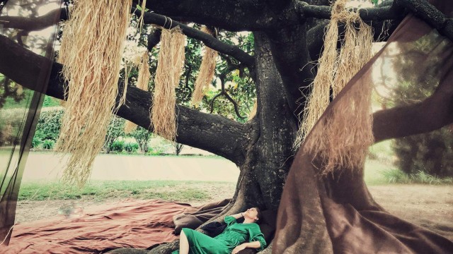 Thumbnail for RITES ET RACINES