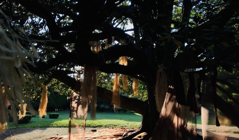 Thumbnail for RITES ET RACINES