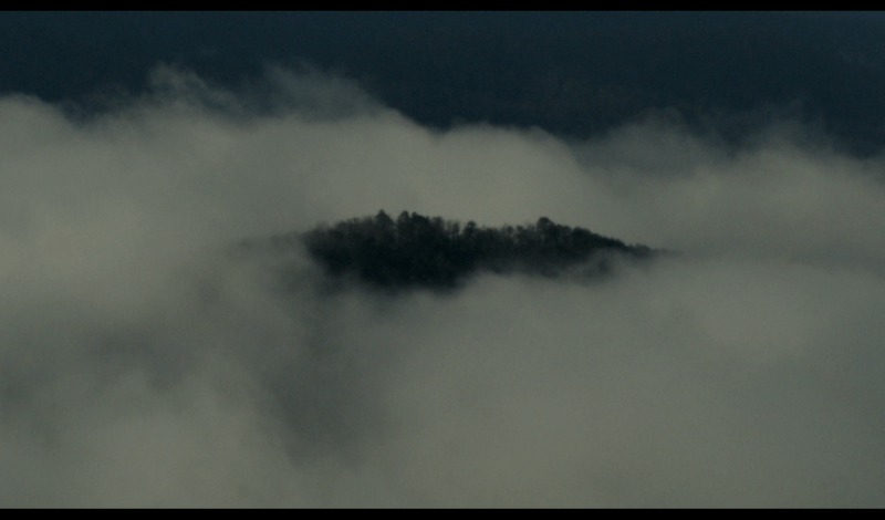 Thumbnail for big-ears