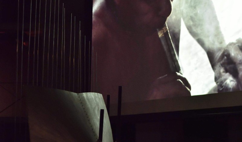 Thumbnail for LIVE WITH ENSEMBLE SONORA